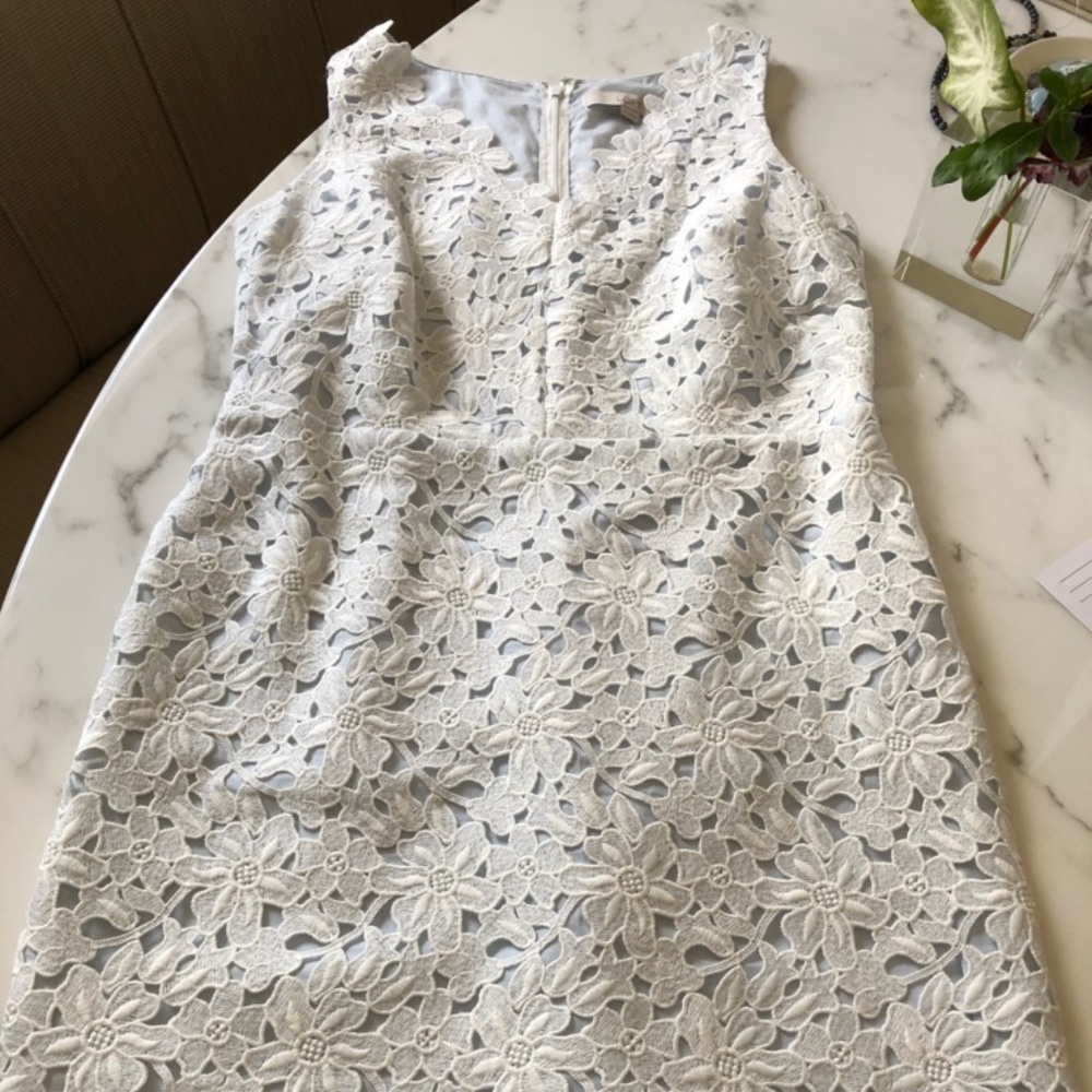LOFT Lace DRESS - NEVER WORN